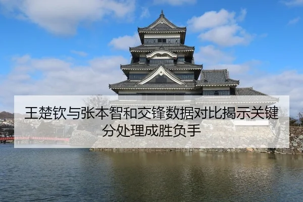 王楚钦与张本智和交锋数据对比揭示关键分处理成胜负手