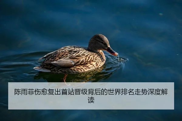 陈雨菲伤愈复出首站晋级背后的世界排名走势深度解读